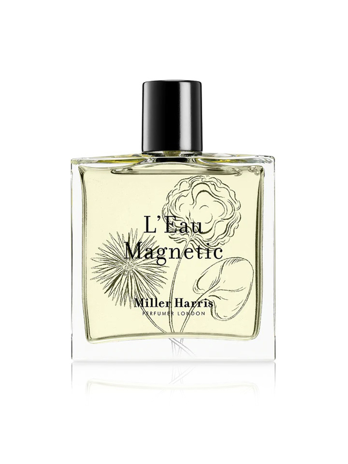 Eau Magnetic Eau De Parfum 100ml