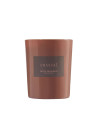 Fruto Prohibido Candle 180g