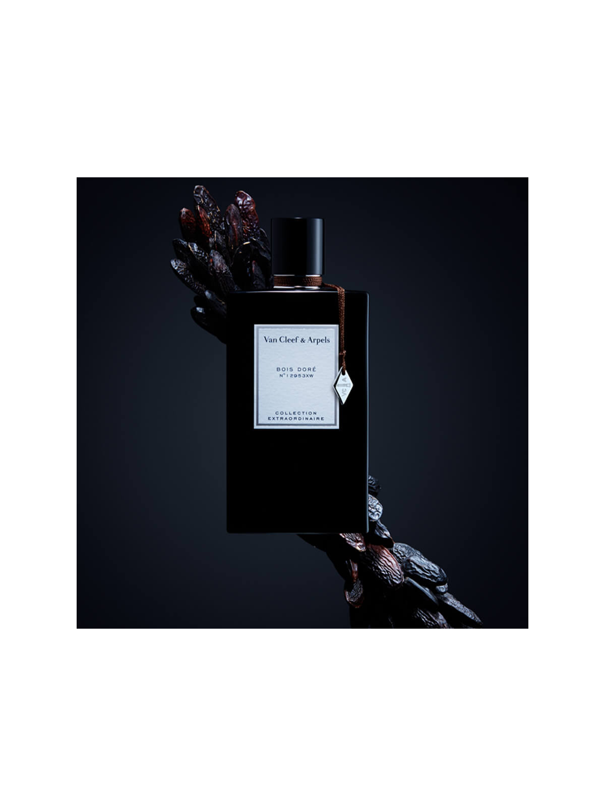 Bois Dore` Eau de parfum 75ml