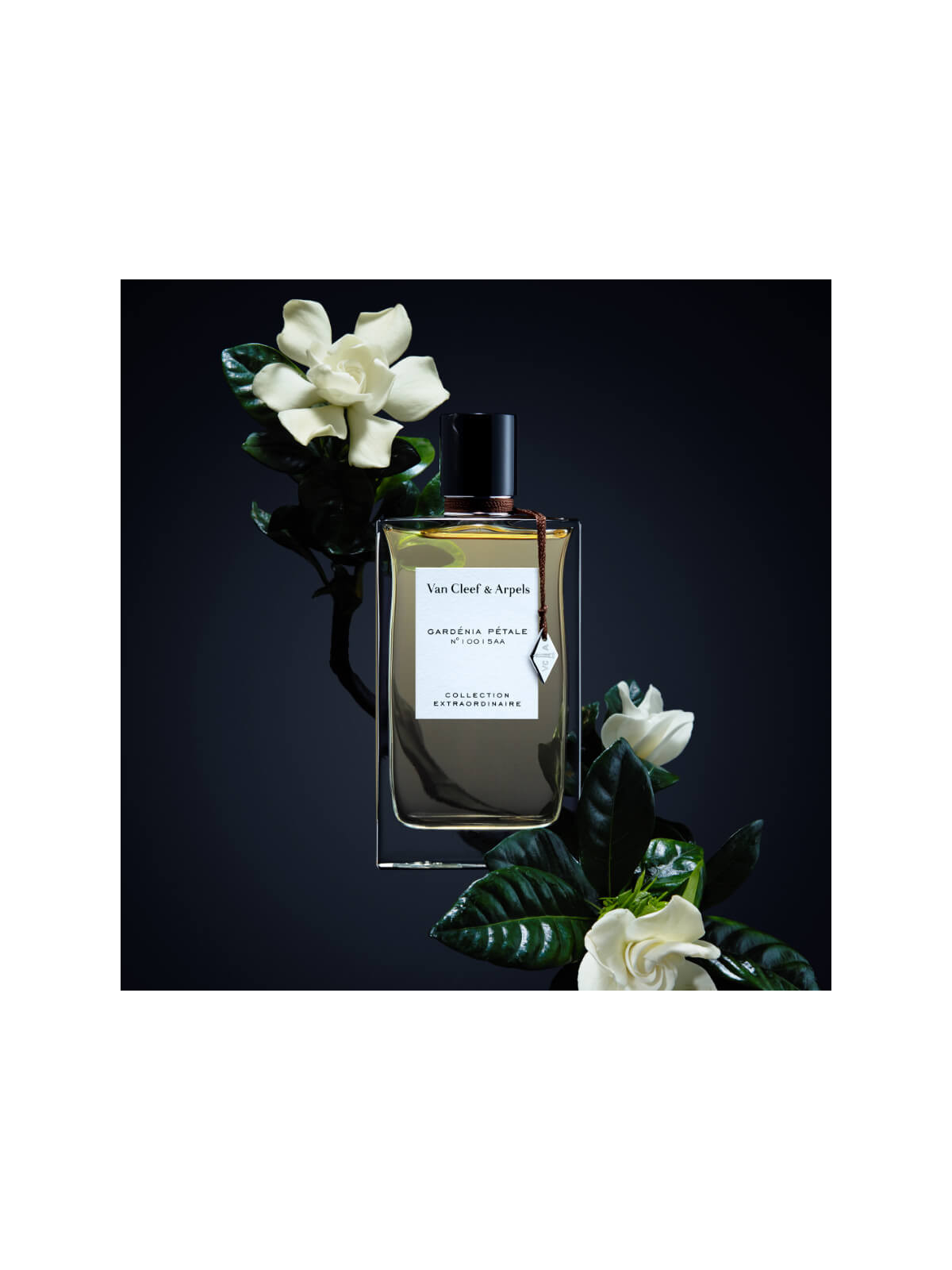 Gardenia Petale Eau de parfum 75mL