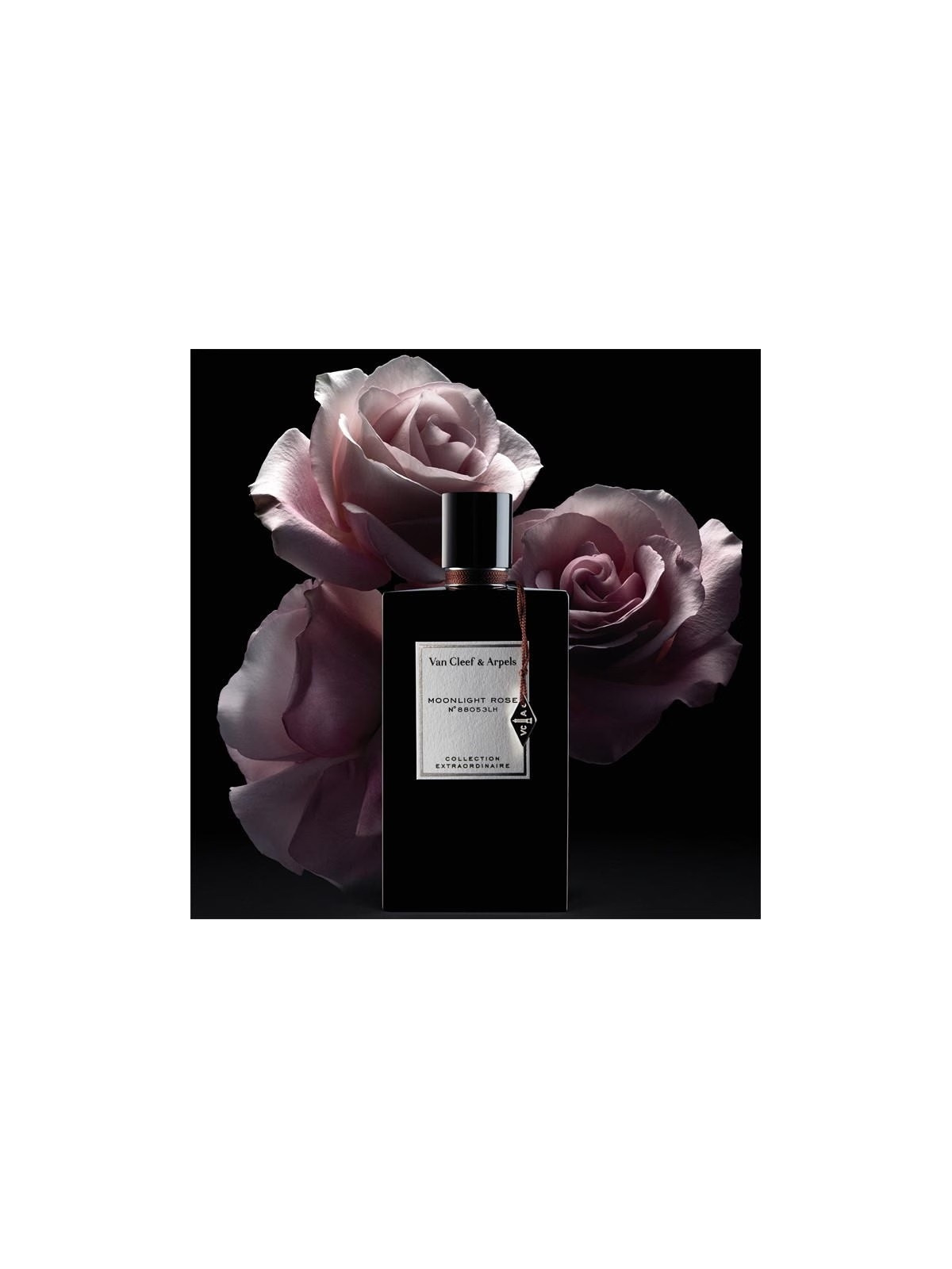 Moonlight Rose Eau de Parfum 75 ml