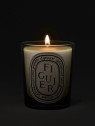 Figuier Candela 190gr