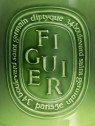 Figuier Candela 1500gr